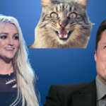 Jamie Lynn Spears Has Cat Issues